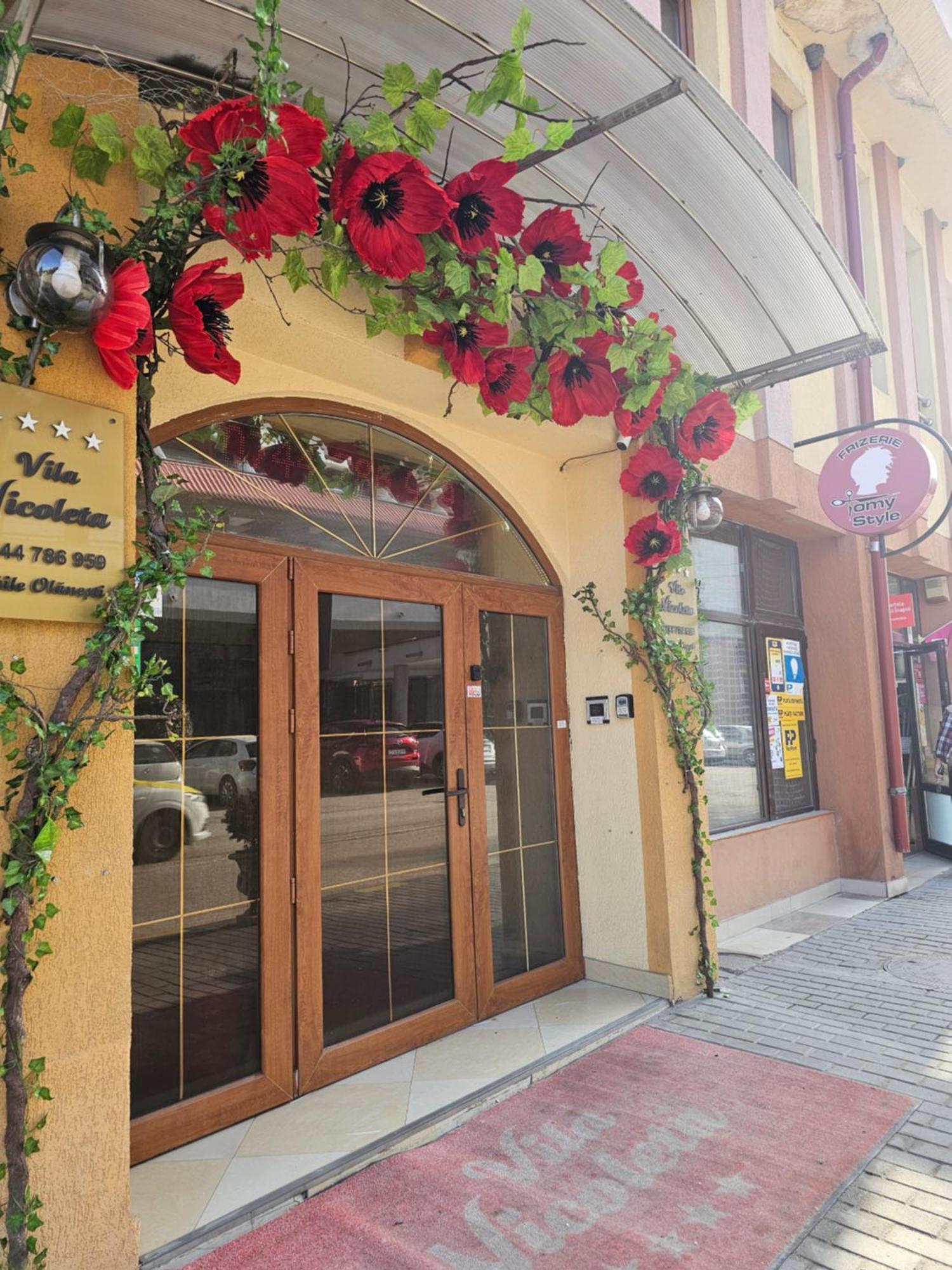 Nicoleta 4* Băile Olăneşti