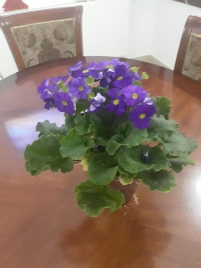 Nicoleta Pensión Băile Olăneşti